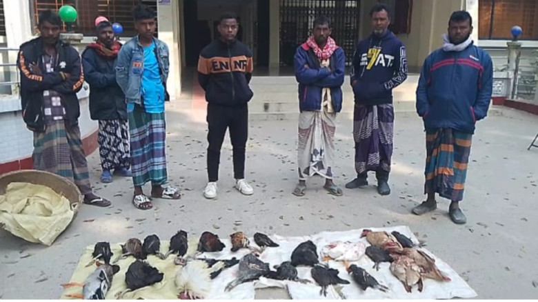 বিষমিশ্রিত ভাত খাইয়ে একাধিক হাঁস-মুরগি হত্যার অভিযোগ
