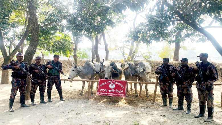 চাঁপাইনবাবগঞ্জ সীমান্তে পৃথক অভিযানে ভারতীয় নেশাজাতীয় সিরাপ 