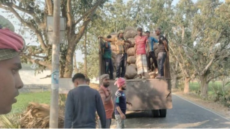 লোকসানের ভারে ন্যুব্জ তানোরের আগাম আলু চাষীরা, সাড়ে ৯ টাকায় 