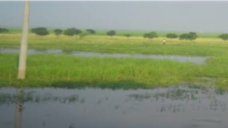 ভোলাহাটের বিলভাতিয়ার ঐতিহ্য দিন দিন  হারিয়ে চলেছে