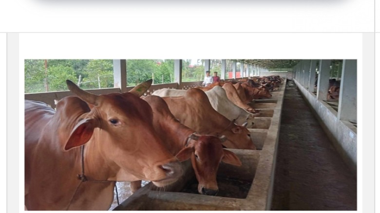 চাঁপাইনবাবগঞ্জের ‘কসবা গ্রাম’ যেখানে প্রতিটি বাড়িতে শোনা যায়