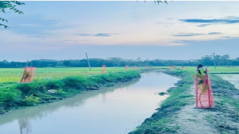নরসিংদীতে স্বচ্ছতার অনন্য দৃষ্টান্ত: খাল খননের সাশ্রয় হওয়া ৪