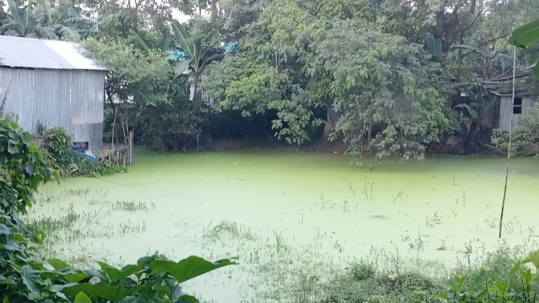 চাঁচকৈড় খলিফাপাড়া বটতলা মোড়ের রাস্তা না থাকায় লাশ নিতে হয় নদ