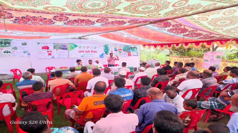 রহনপুর গোমস্তাপুরে সুপ্রিম সীড-এর আলোড়ন সৃষ্টিকারী হাইব্রিড