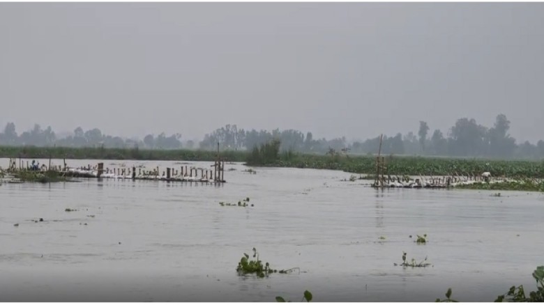 গুরুদাসপুরে প্রশাসনের নাকের ডগায় চলছে অবৈধ সোঁতি জালের মহোৎস