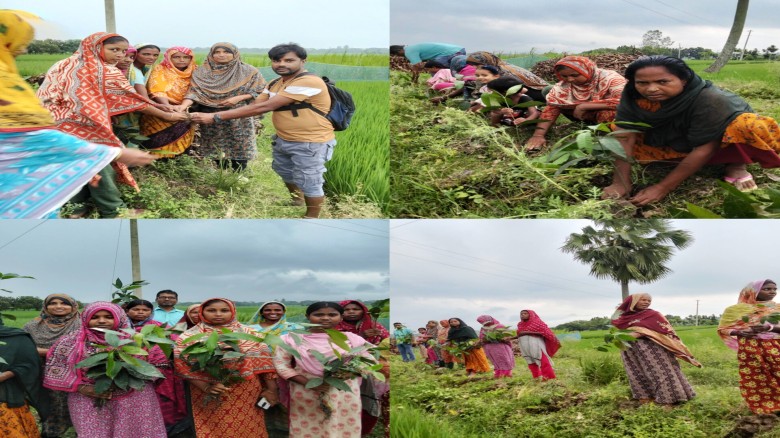 বরেন্দ্র অঞ্চলে ৫ হাজার দেশি ফলের বীজ ও চারা রোপণ