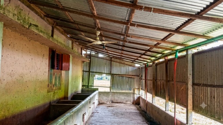 গুরুদাসপুরে রাতে  ৪টি মহিষ চুরি